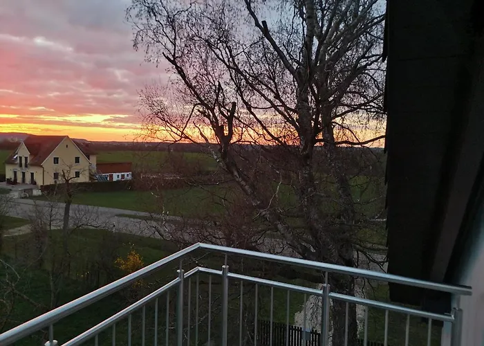 Meyer